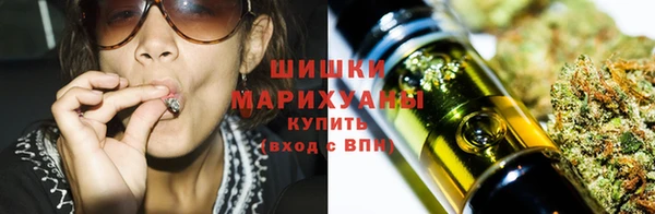 гидропоника Алзамай