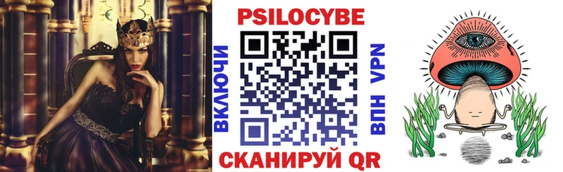 наркошоп Мегион Галлюциногенные грибы Psilocybine cubensis